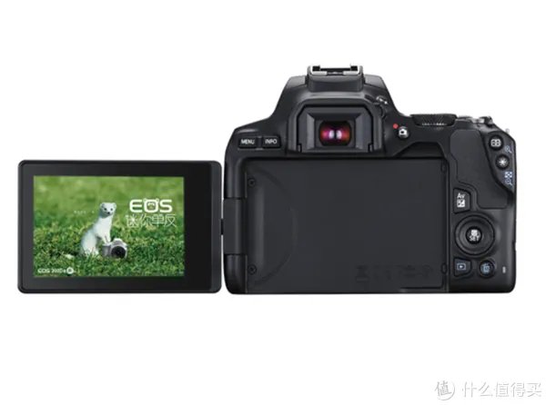 很适合新手,六款高性价比入门单反