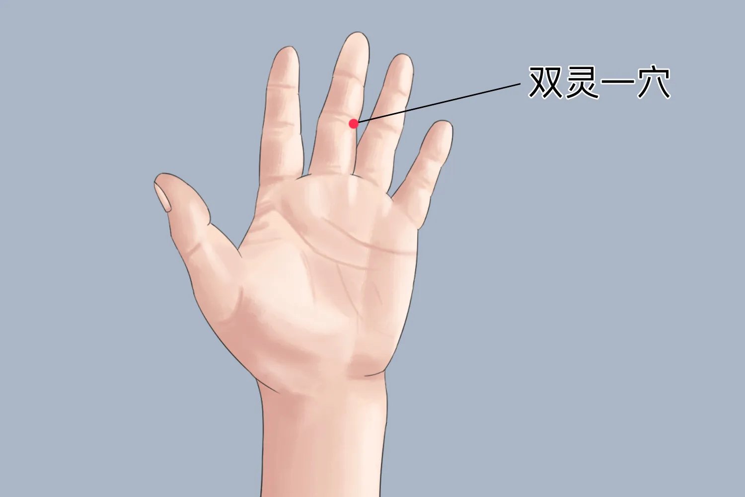 双灵准确位置图和作用