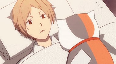 你家的猫做过哪些不可思议的事呢？