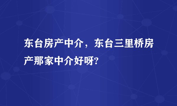 东台房产中介，东台三里桥房产那家中介好呀?
