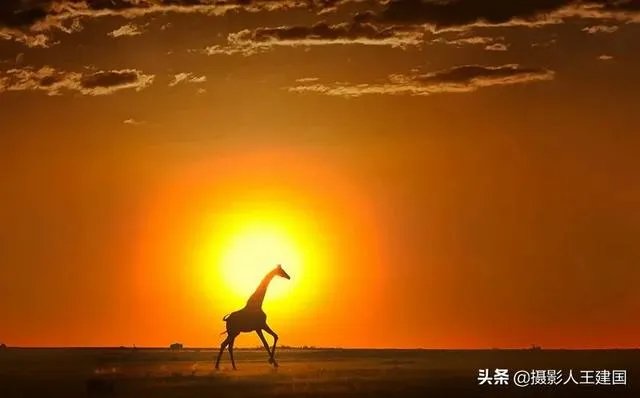 摄影是艺术吗？