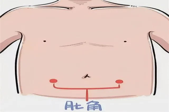 肚角位置图和作用