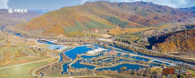 伊春是哪个省的 伊春属于哪个省