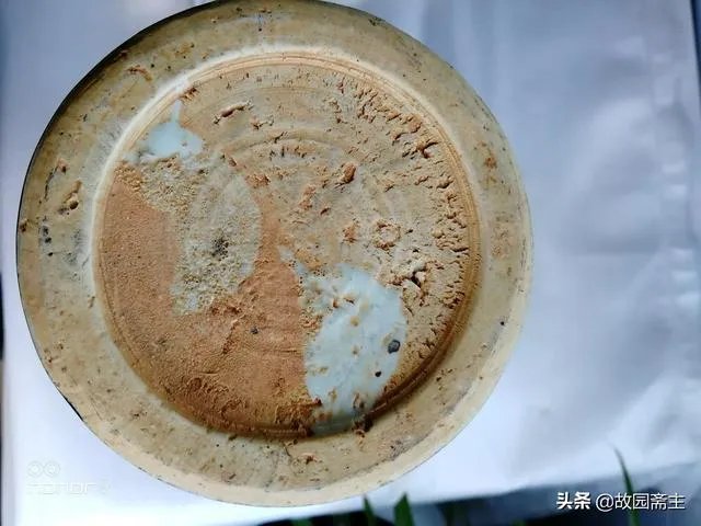 如何鉴定明嘉靖篮釉瓷？