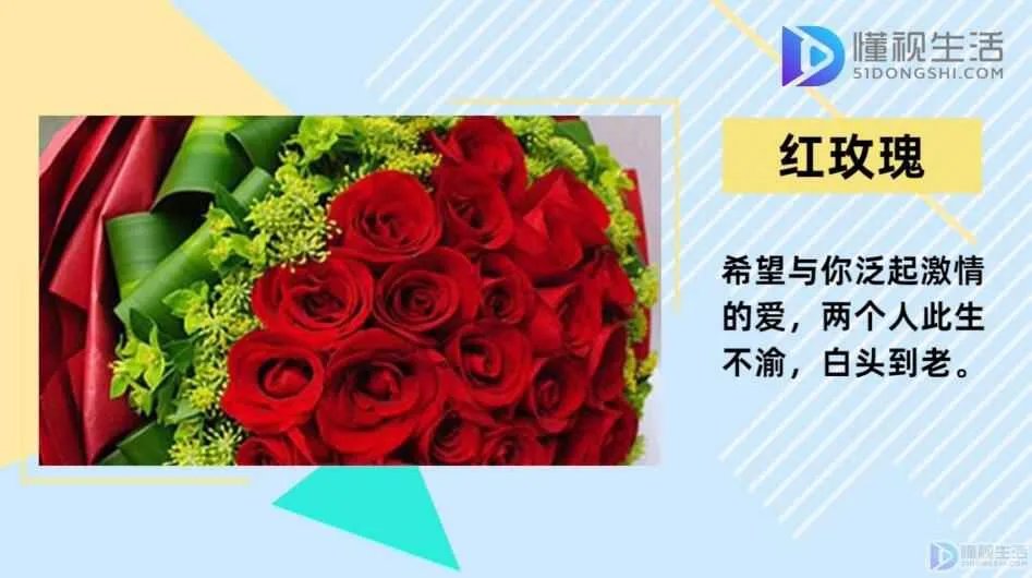 20朵玫瑰代表什么花语