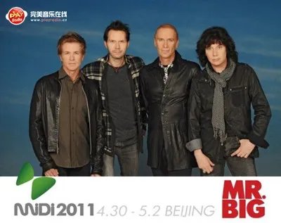 完美音乐在线直播迷笛 与众乐队共狂欢