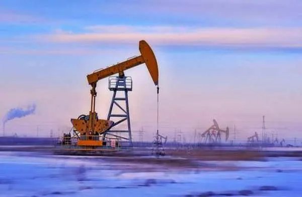 全球巨无霸公司破产，导致瓦拉里斯公司破产的原因是什么？