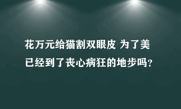花万元给猫割双眼皮 为了美已经到了丧心病狂的地步吗？