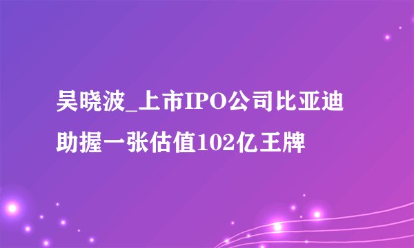 吴晓波_上市IPO公司比亚迪助握一张估值102亿王牌