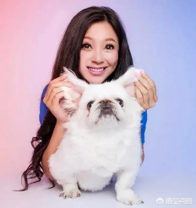 娱乐圈有哪些本来就长得很好看却还整容的明星？