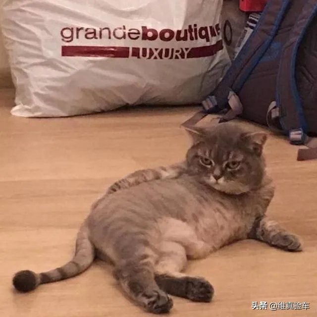 哪些二手车交易平台比较靠谱？你网上买车的经验可以分享一下吗？