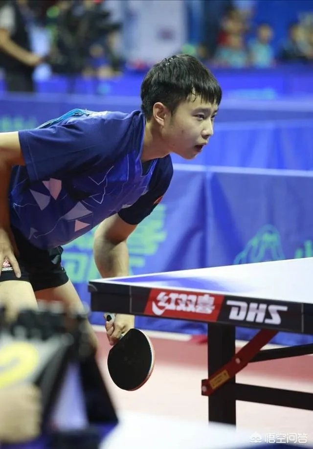匈牙利公开赛资格赛首日的比赛,国乒选手战绩如何?如何评价?