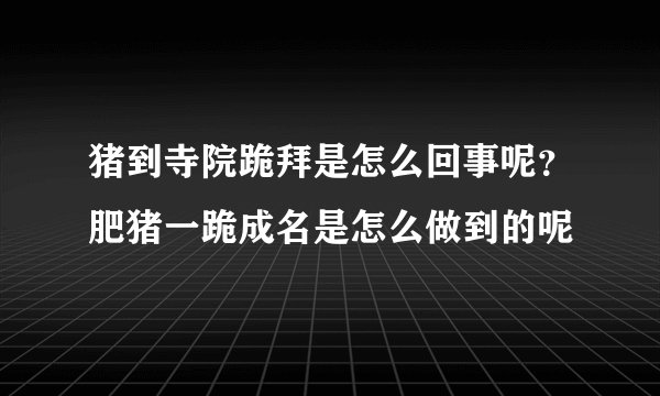 猪到寺院跪拜是怎么回事呢？肥猪一跪成名是怎么做到的呢