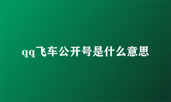 qq飞车公开号是什么意思