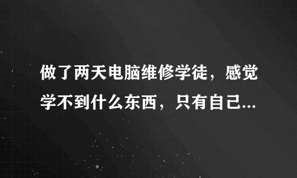 做了两天电脑维修学徒，感觉学不到什么东西，只有自己在学，师傅都不怎么教，问他就说一下怎么做