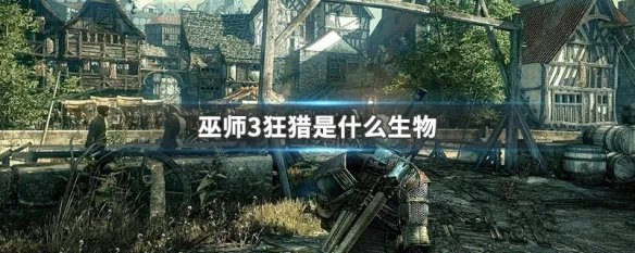 巫师3狂猎是什么生物