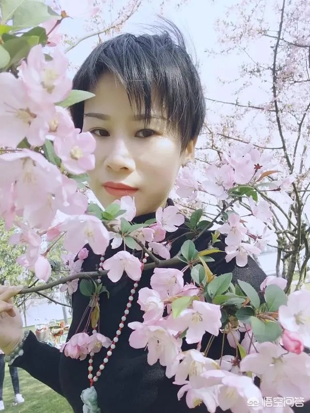 为何有些人喜欢去澳洲旅游？