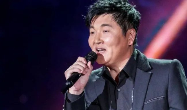 内地歌手有哪些?