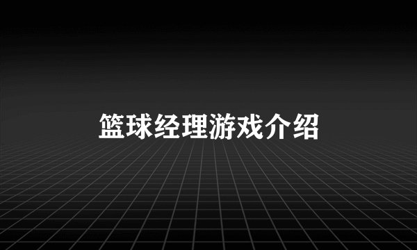 篮球经理游戏介绍