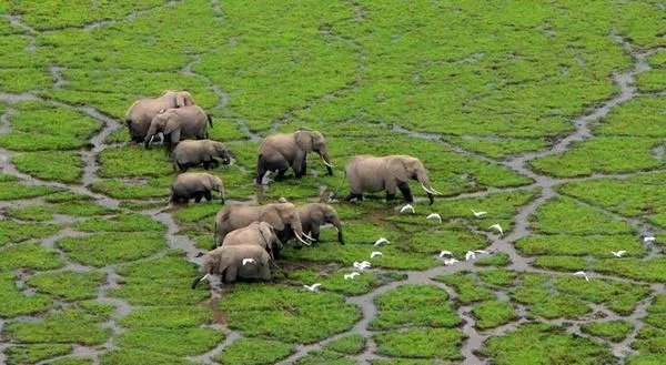 有没有人跟我一样觉得江一燕很漂亮的？