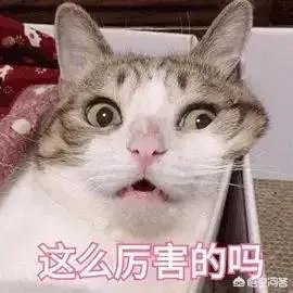 范冰冰李晨分手了,对此你怎么看?