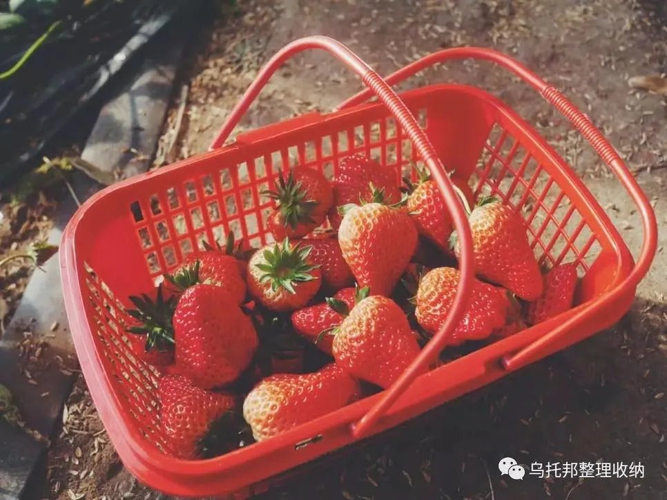 『原创』自己摘，自己动手做美味果汁！有独家秘方！