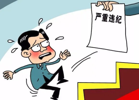 确定严重触犯刑律的地方各级委员会