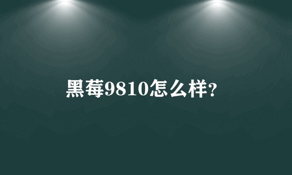 黑莓9810怎么样？