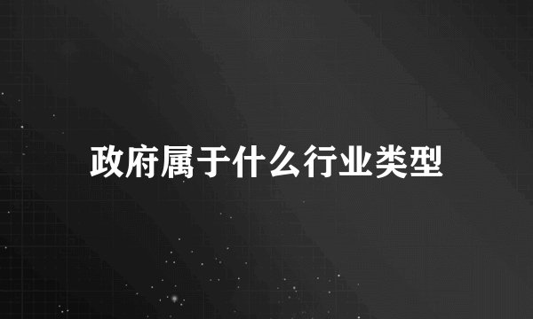 政府属于什么行业类型