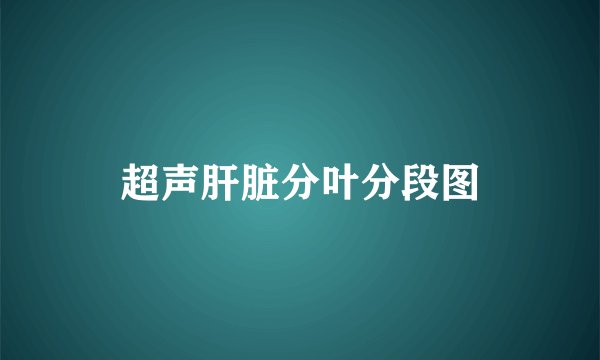 超声肝脏分叶分段图