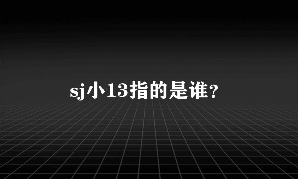 sj小13指的是谁？