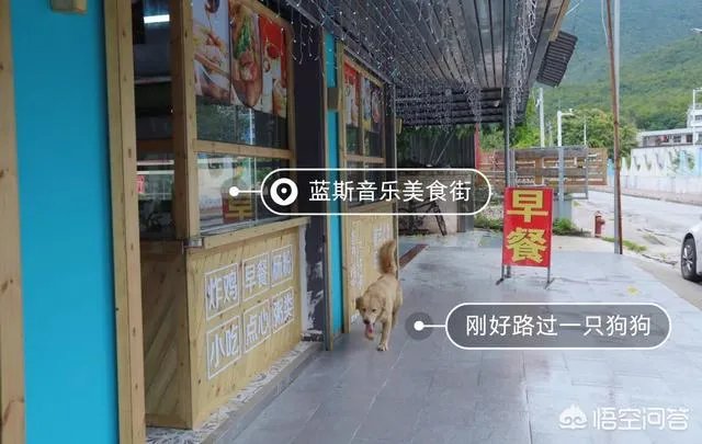 深圳东涌海滩好玩吗?有没有游玩攻略分享一下?