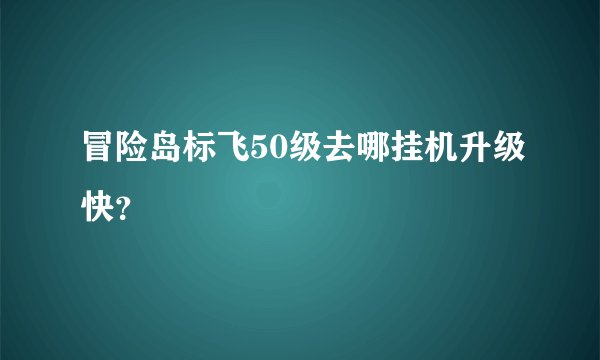 冒险岛标飞50级去哪挂机升级快？