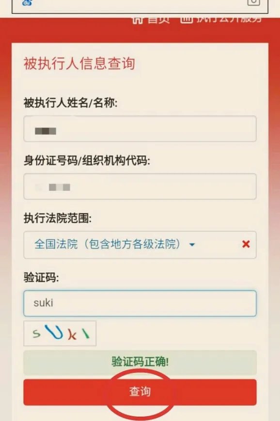 全国法院信息综合查询