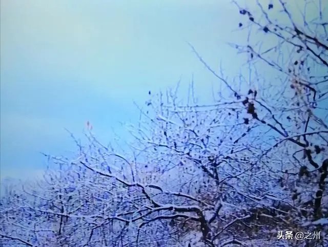 人在世上，最难面对的事是什么？