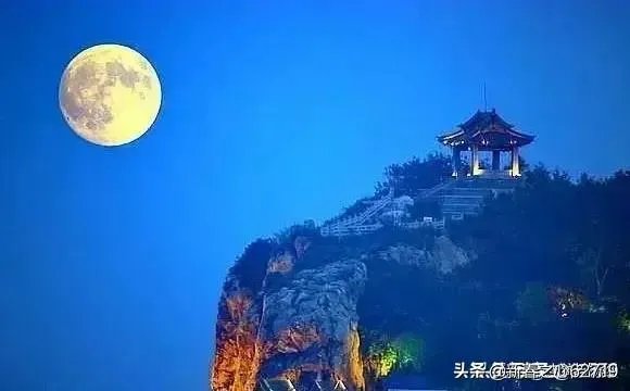 桑德斯退选意味着什么？