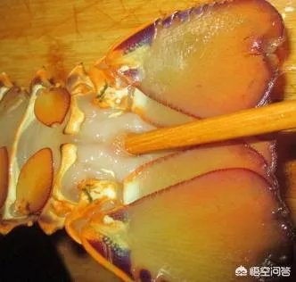 清蒸澳洲龙虾的做法？