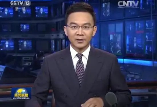 郎永淳妻子吴萍简历曝光 揭秘央视“国脸”离职的原因