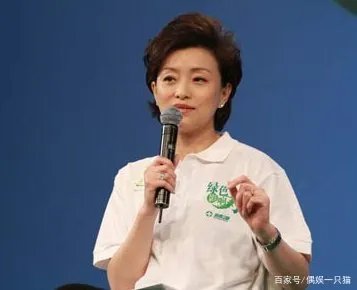 杨澜的老公是谁