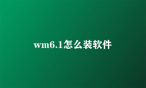 wm6.1怎么装软件