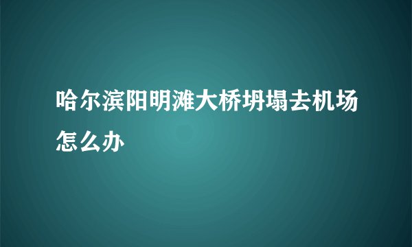 哈尔滨阳明滩大桥坍塌去机场怎么办
