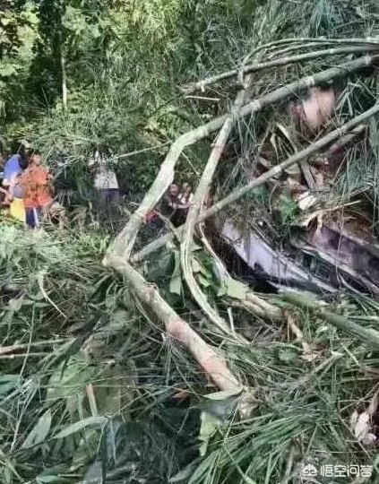 江苏旅游团在老挝发生严重车祸，已发现14具尸体，旅行社是否存在责任？