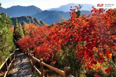 上联是“晨不见日雨纷落”，如何对下联？