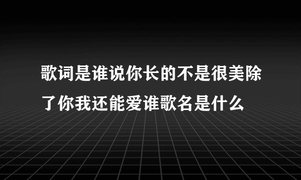 歌词是谁说你长的不是很美除了你我还能爱谁歌名是什么