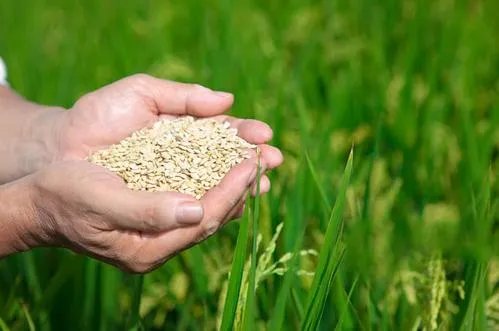 餐厅采用末位淘汰制，这样是否能杜绝浪费？