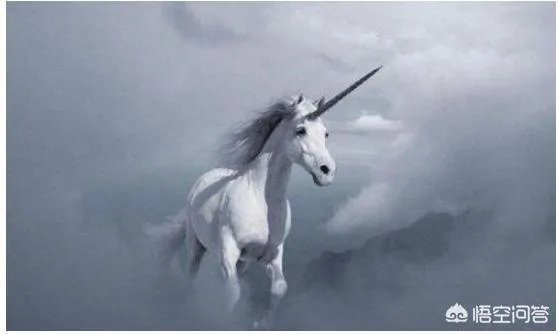 独角兽企业IPO“即报即审”,什么是独角兽?