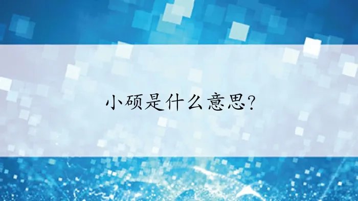 小硕是什么意思？