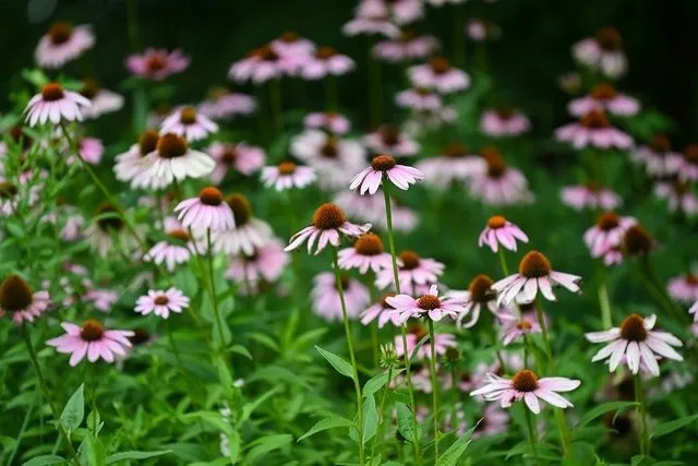 【每日摄影】8699元的尼康Z5全画幅微单相机值得买吗?