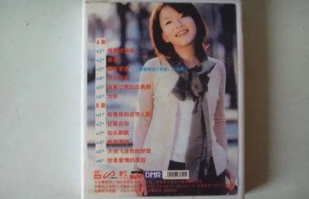 抖音有些人爱都忘了情是什么歌(歌词歌曲歌手)