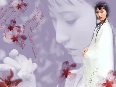 《枉凝眉》这首歌的歌词大意是什么？